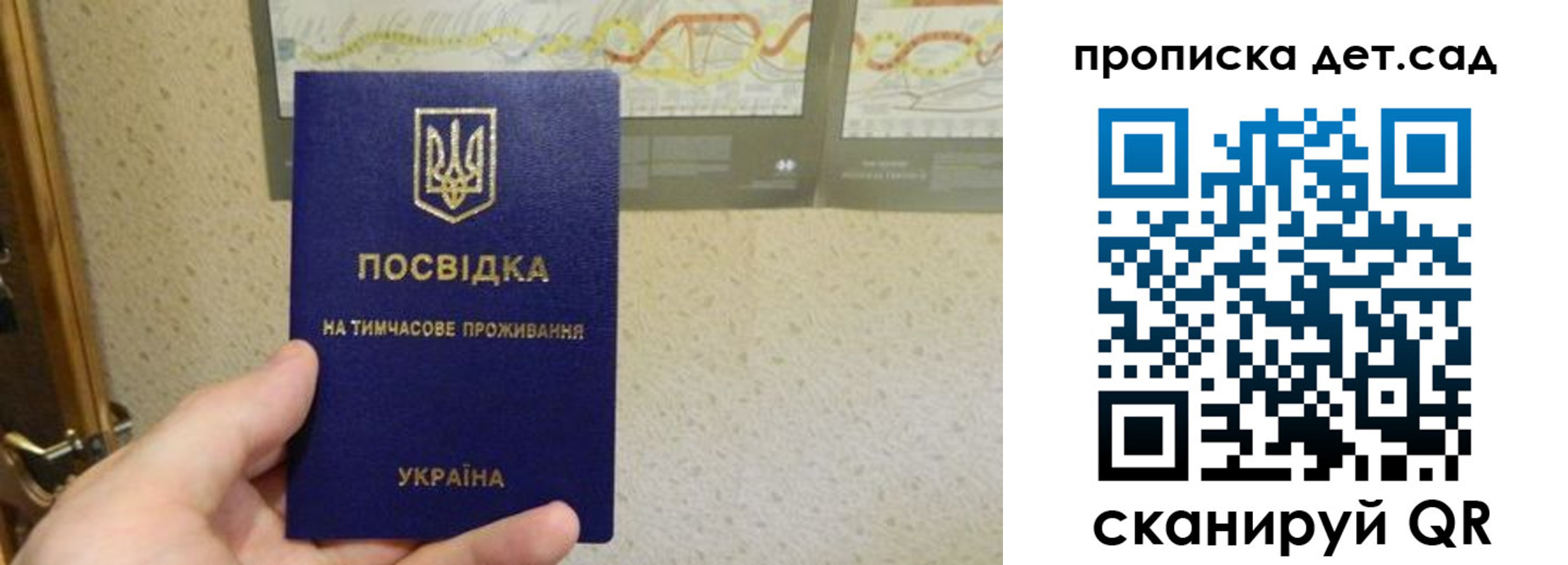 прописка для школы в Сафоново